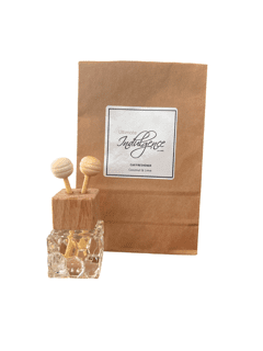 Car Freshener Coconut and Lime